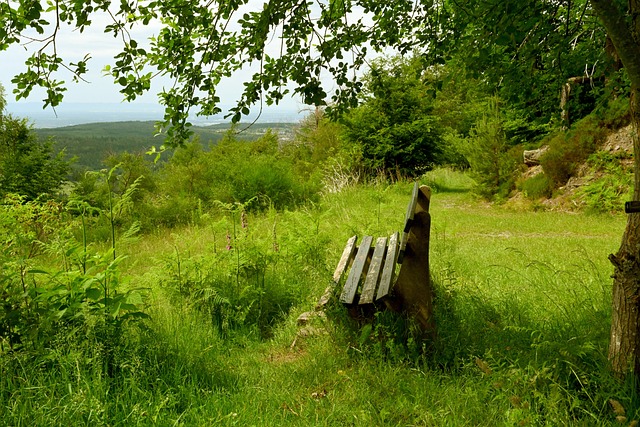 球权拼搏 球权拼搏