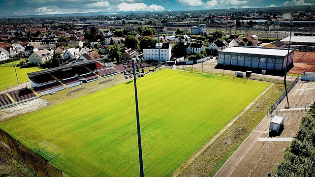 其他球队的 其他球队的